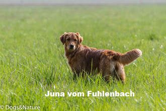 Juna v. Fuhlenbach