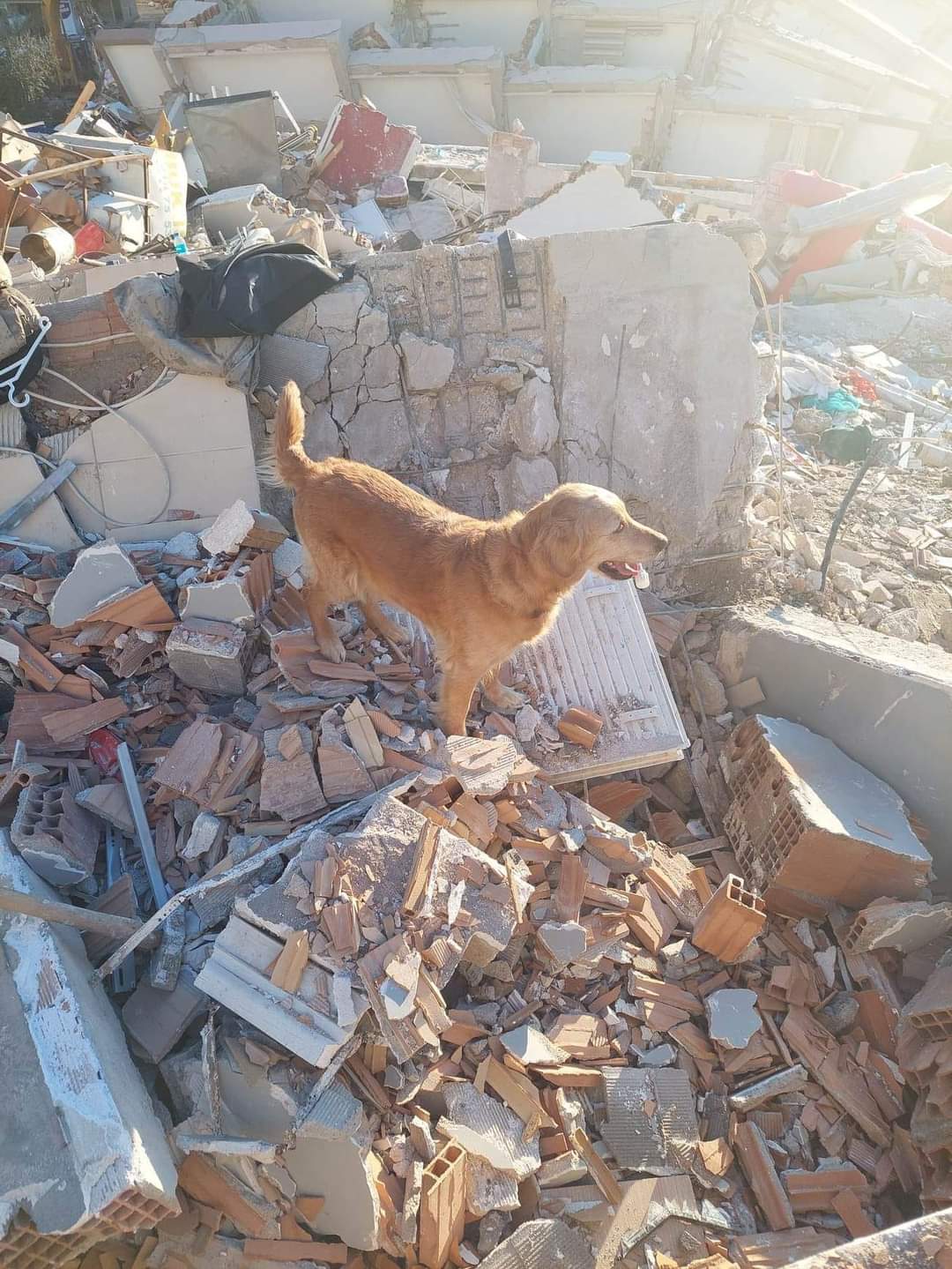 Erdbeben Türkei