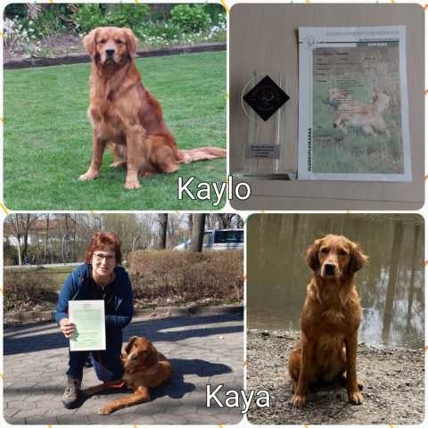 kAYA kAYLO