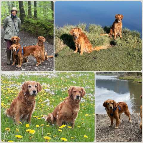 shanti und Sitara Dez 22