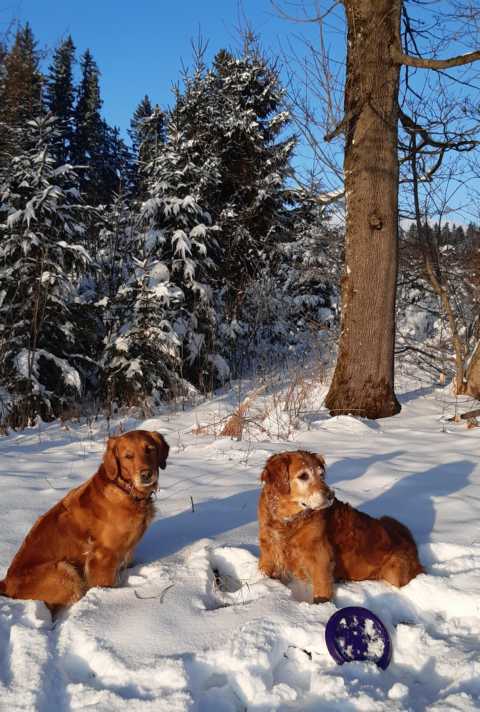 Shanti und Sitara Dez.25