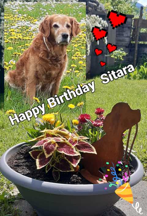 Sitara 13 Jahre